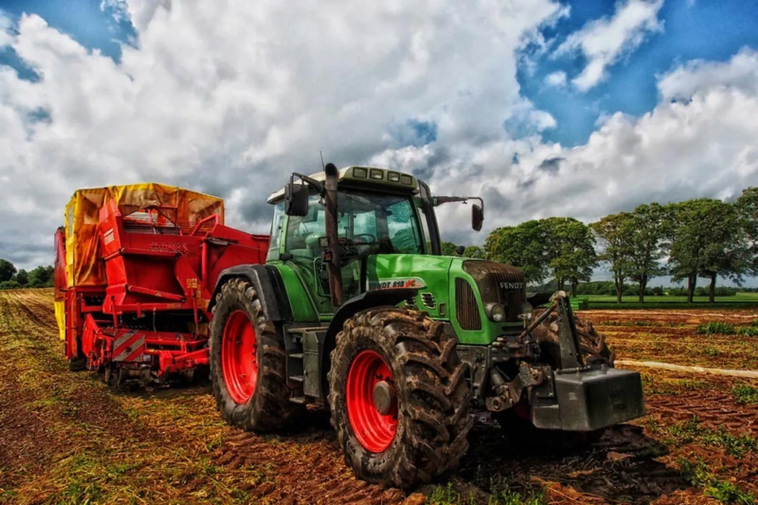Jeune exploitante agricole examinant ses cultures devant un bâtiment de ferme en milieu rural.